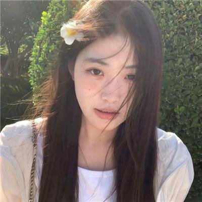 新安妮日记